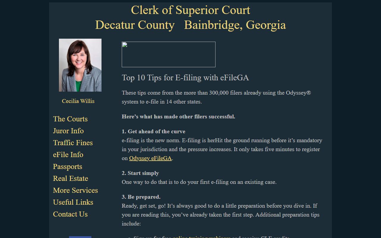 Decatur County court dockets e-filing case number guidance